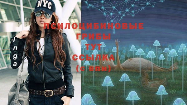 тгк Аркадак
