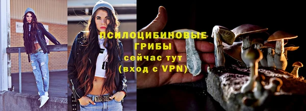 тгк Аркадак
